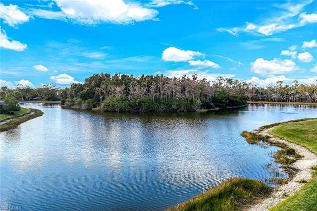 20667 Wildcat Run Dr, #101, Estero, FL 33928 Water view