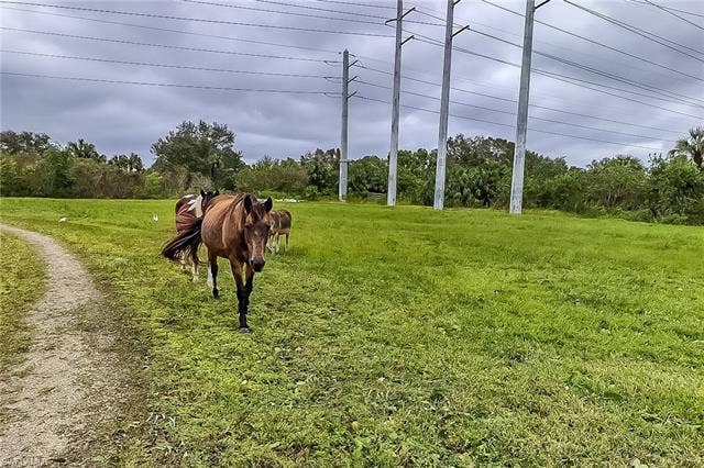 26118 Cutting Horse Ln, Bonita Springs, FL 34135 26118 Cutting Horse Ln, Bonita Springs, FL 34135