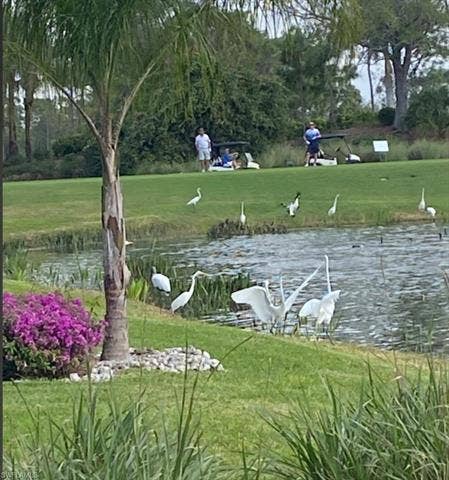 9241 Spring Run Blvd, #2206, Estero, FL 34135 9241 Spring Run Blvd, #2206, Estero, FL 34135