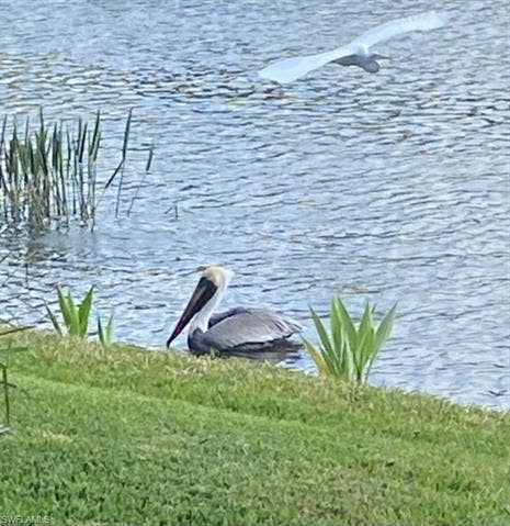 9241 Spring Run Blvd, #2206, Estero, FL 34135 9241 Spring Run Blvd, #2206, Estero, FL 34135