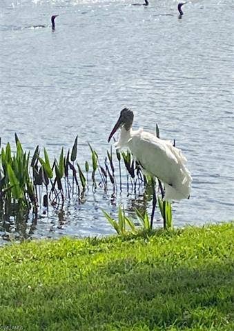 9241 Spring Run Blvd, #2206, Estero, FL 34135 9241 Spring Run Blvd, #2206, Estero, FL 34135