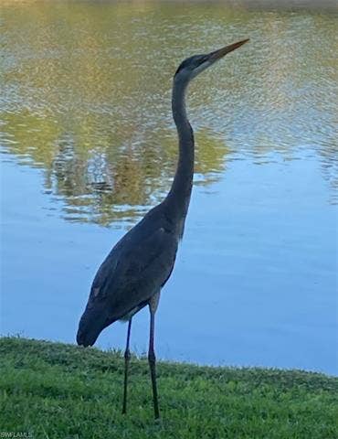 9241 Spring Run Blvd, #2206, Estero, FL 34135 9241 Spring Run Blvd, #2206, Estero, FL 34135