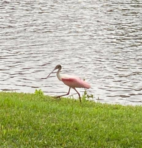 9241 Spring Run Blvd, #2206, Estero, FL 34135 9241 Spring Run Blvd, #2206, Estero, FL 34135