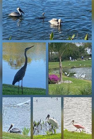 9241 Spring Run Blvd, #2206, Estero, FL 34135 9241 Spring Run Blvd, #2206, Estero, FL 34135