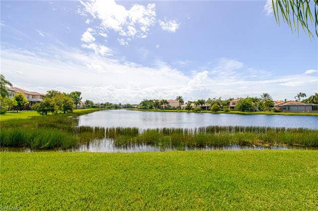 10310 Carolina Willow Dr, Fort Myers, FL 33913 Lush green lawn with expansive water frontage and natural vegetation