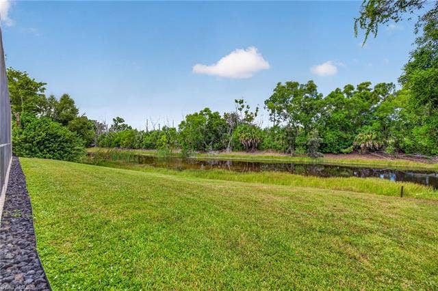27150 Rue De Paix, Bonita Springs, FL 34135 Expansive green space featuring a natural water element and mature trees