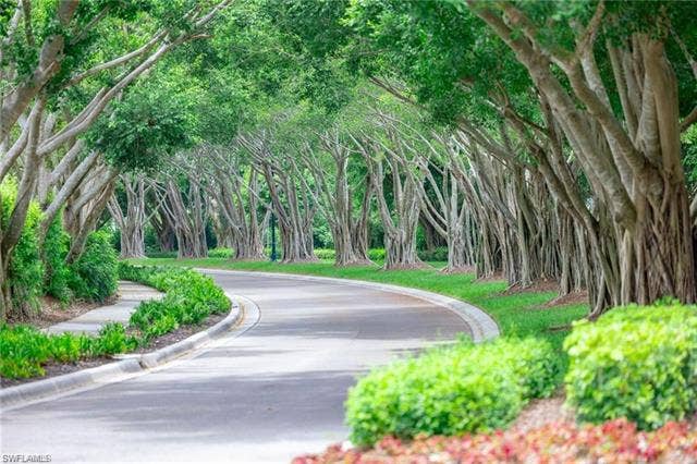 11777 Via Savona Ct, Miromar Lakes, FL 33913 11777 Via Savona Ct, Miromar Lakes, FL 33913