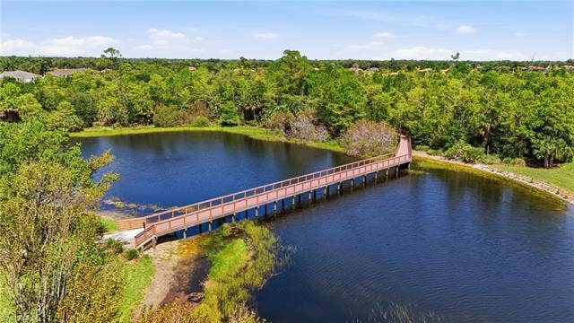 19600 Maddelena Cir, Estero, FL 33967 Expansive water feature with a wooden pier, surrounded by lush green foliage and mature trees