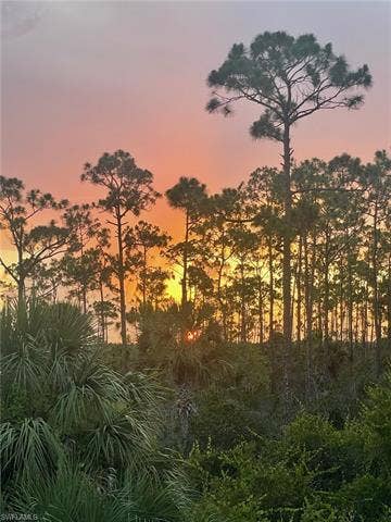 6664 Estero Bay Dr, Fort Myers, FL 33908 6664 Estero Bay Dr, Fort Myers, FL 33908