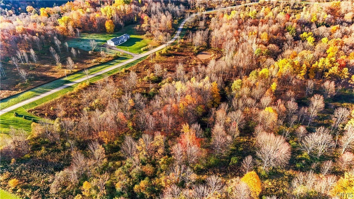 Lot 36 Cogar Drive, Schuyler, NY 13340