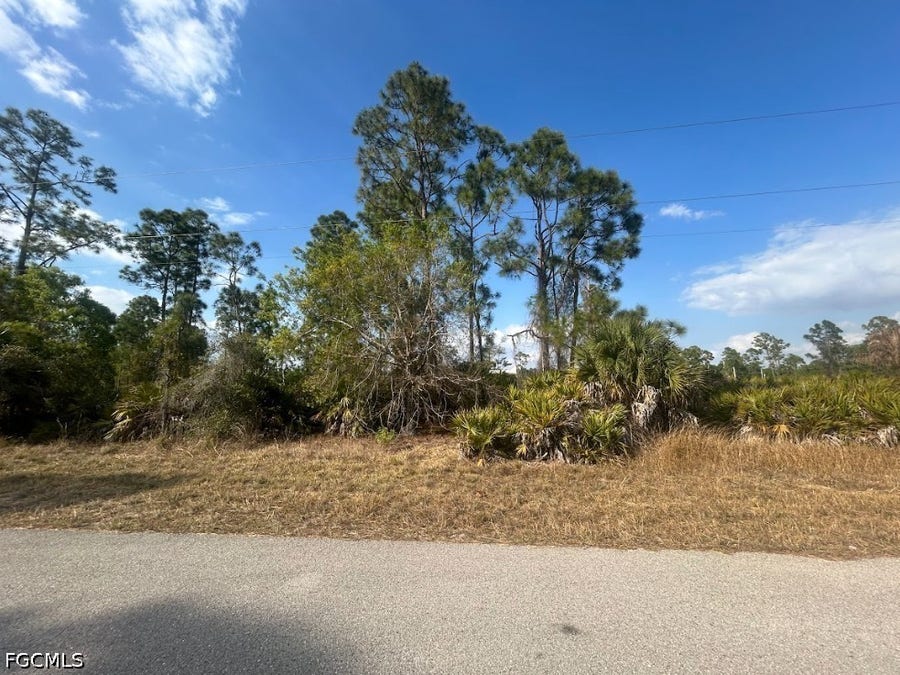 Property photo for 1137 Crestwood Street E, Lehigh Acres, FL