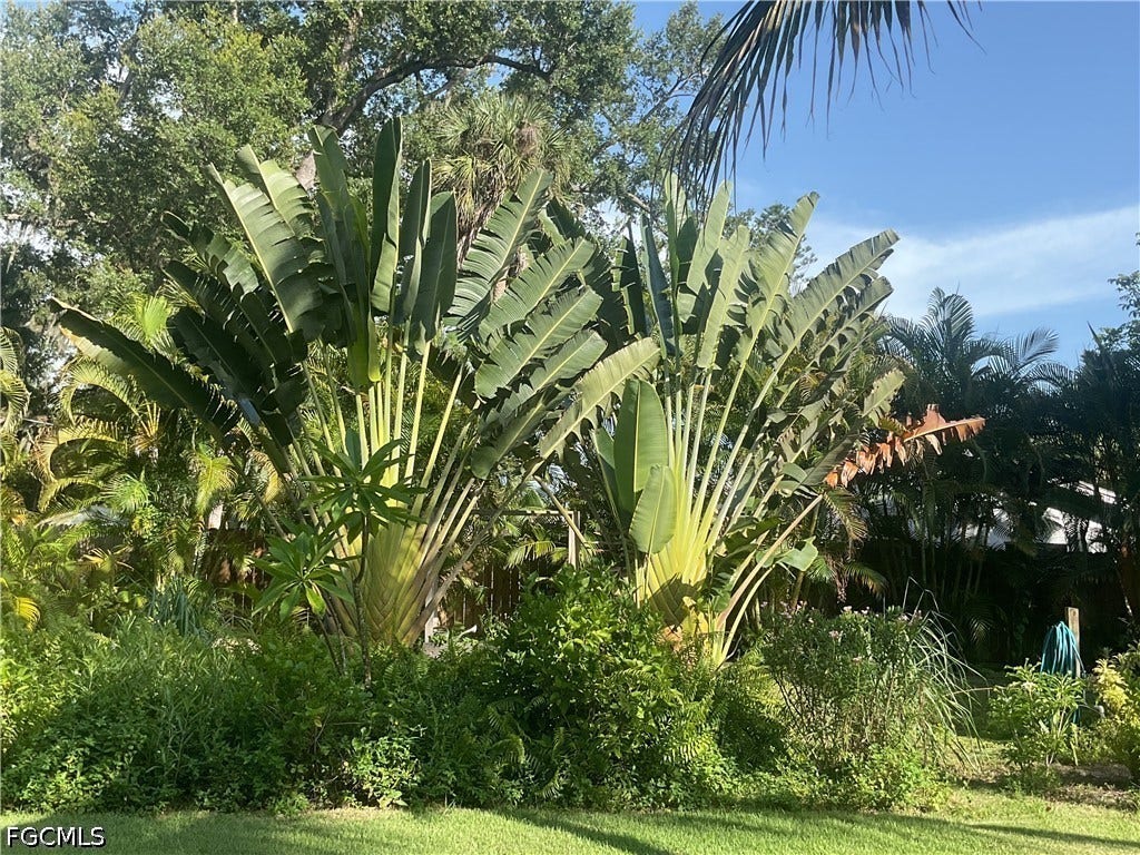 817/825 Julia Street, Fort Myers, FL 33916 817/825 Julia Street, Fort Myers, FL 33916