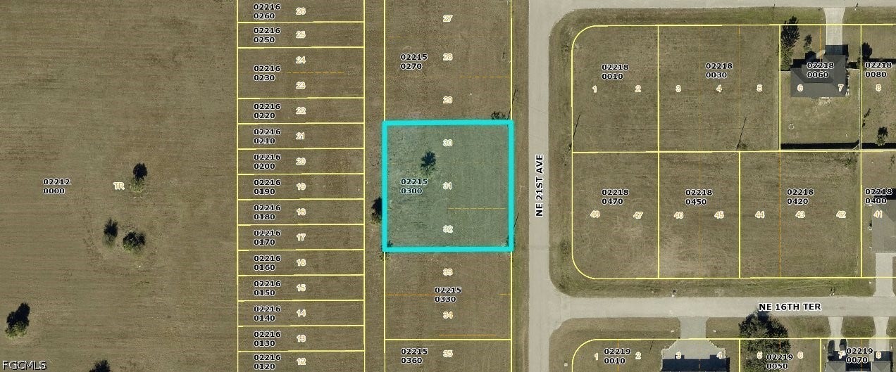 1620 NE 21st Avenue, Cape Coral, FL 33909 1620 NE 21st Avenue, Cape Coral, FL 33909