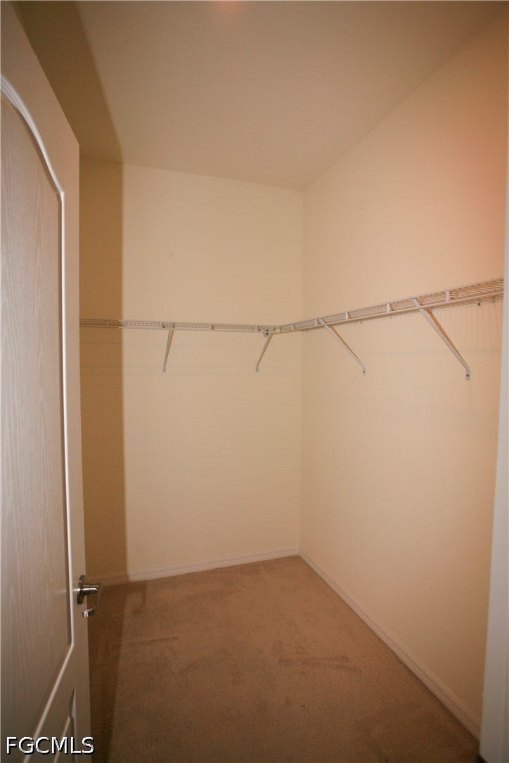 14495 Vindel Circle, Fort Myers, FL 33905 Walk-in closet with carpet flooring and wraparound wire shelving