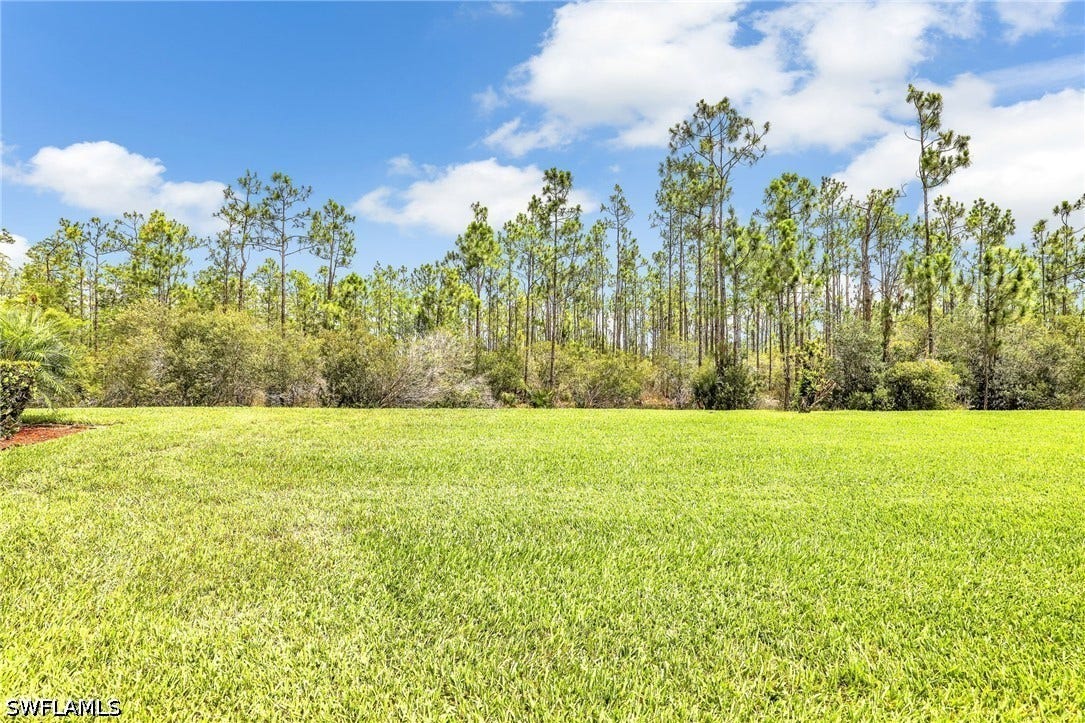 13546 Messino Court, Estero, FL 33928