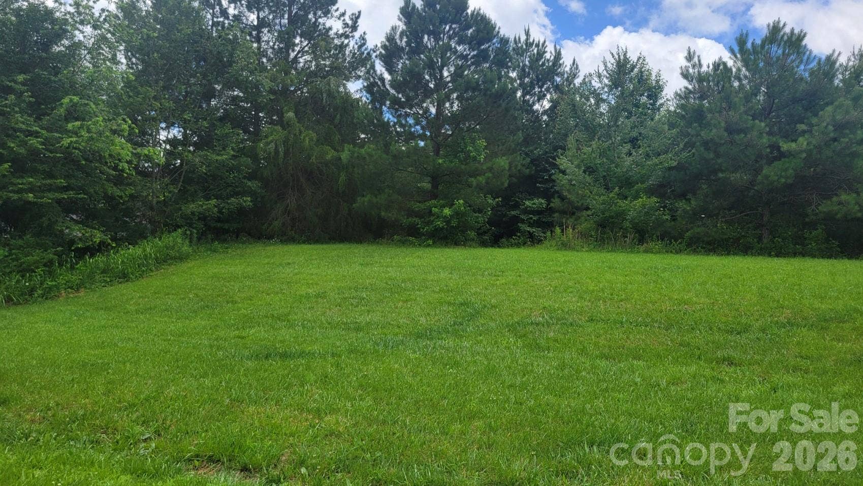 where cleared portion meets wooded