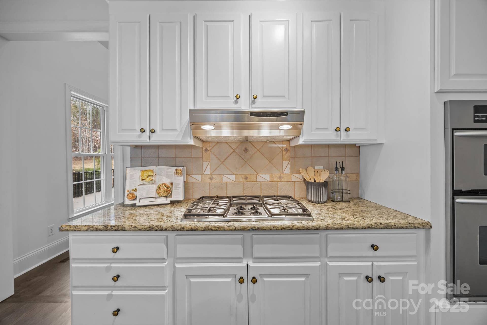 Gas stove and hood vent