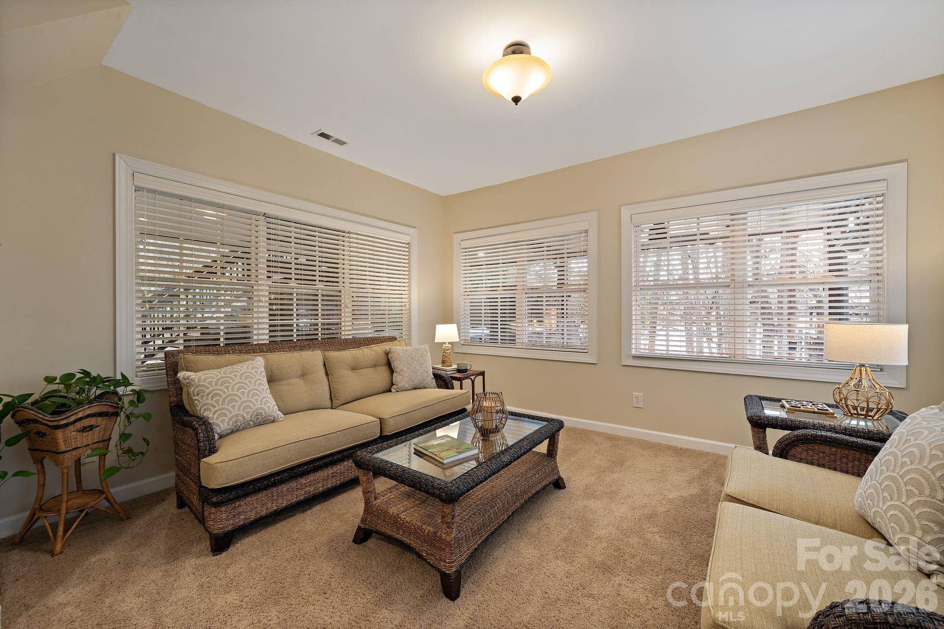 Lower level sitting room