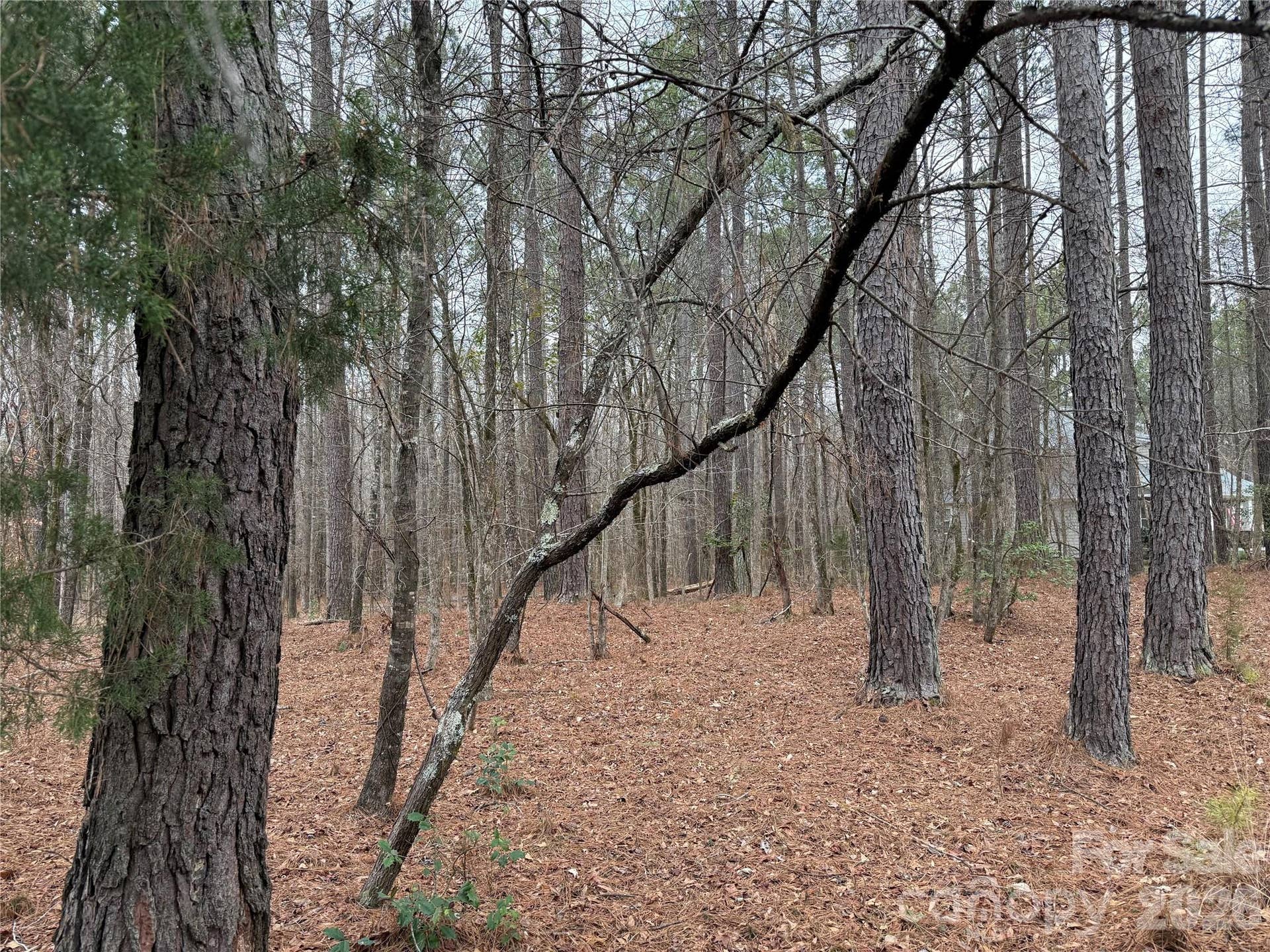 6191 Chimney Bluff Road, Lancaster, SC 29720 Lot