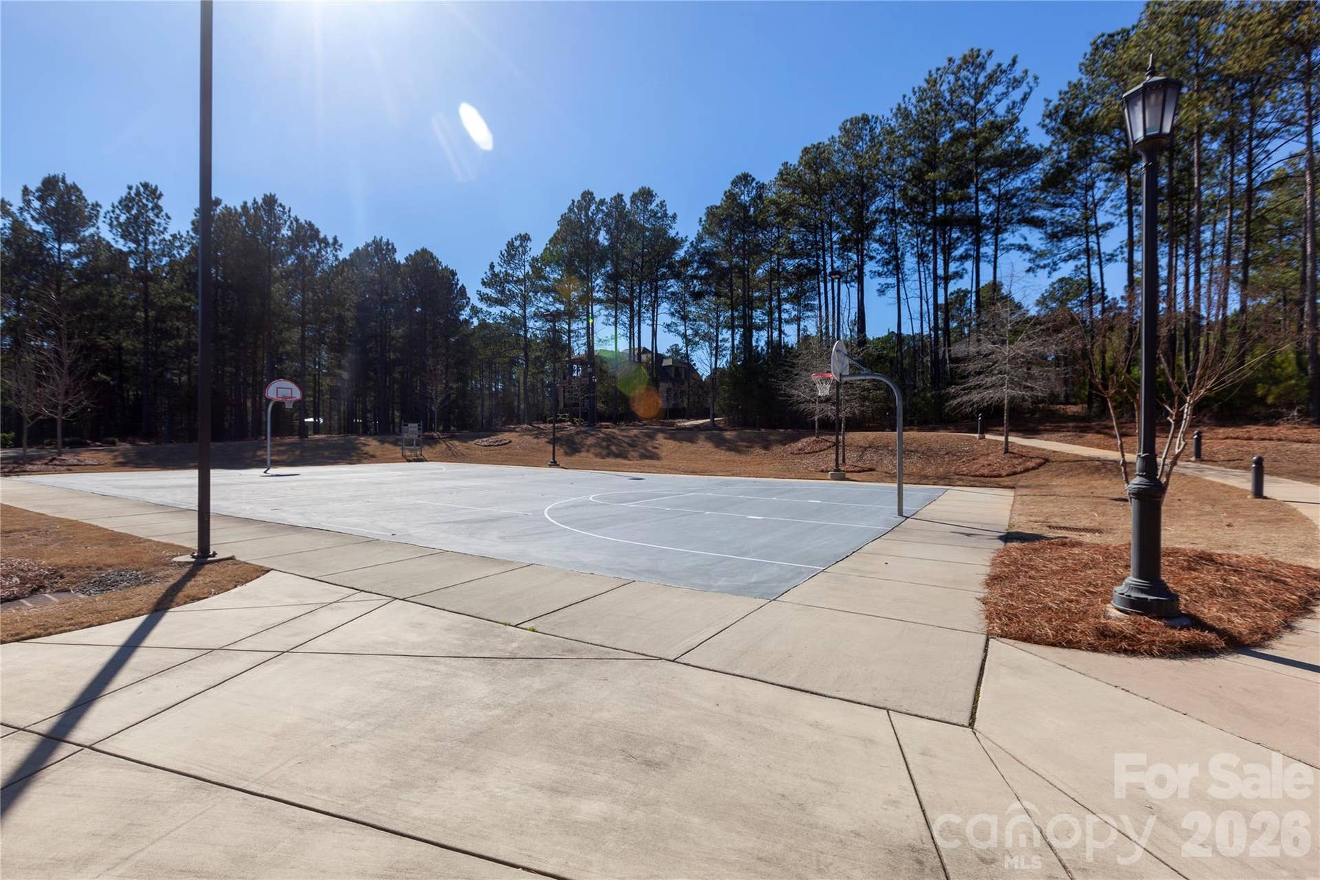 6191 Chimney Bluff Road, Lancaster, SC 29720 Basketball court
