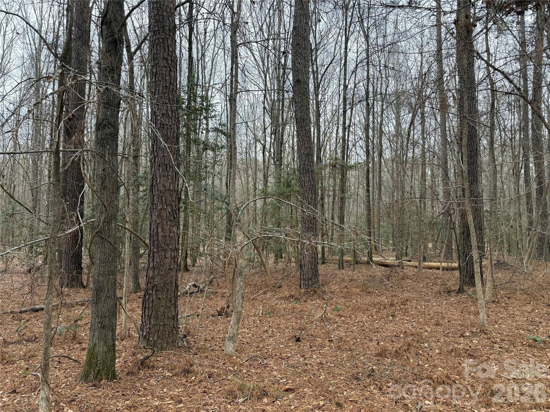 6191 Chimney Bluff Road, Lancaster, SC 29720 Lot