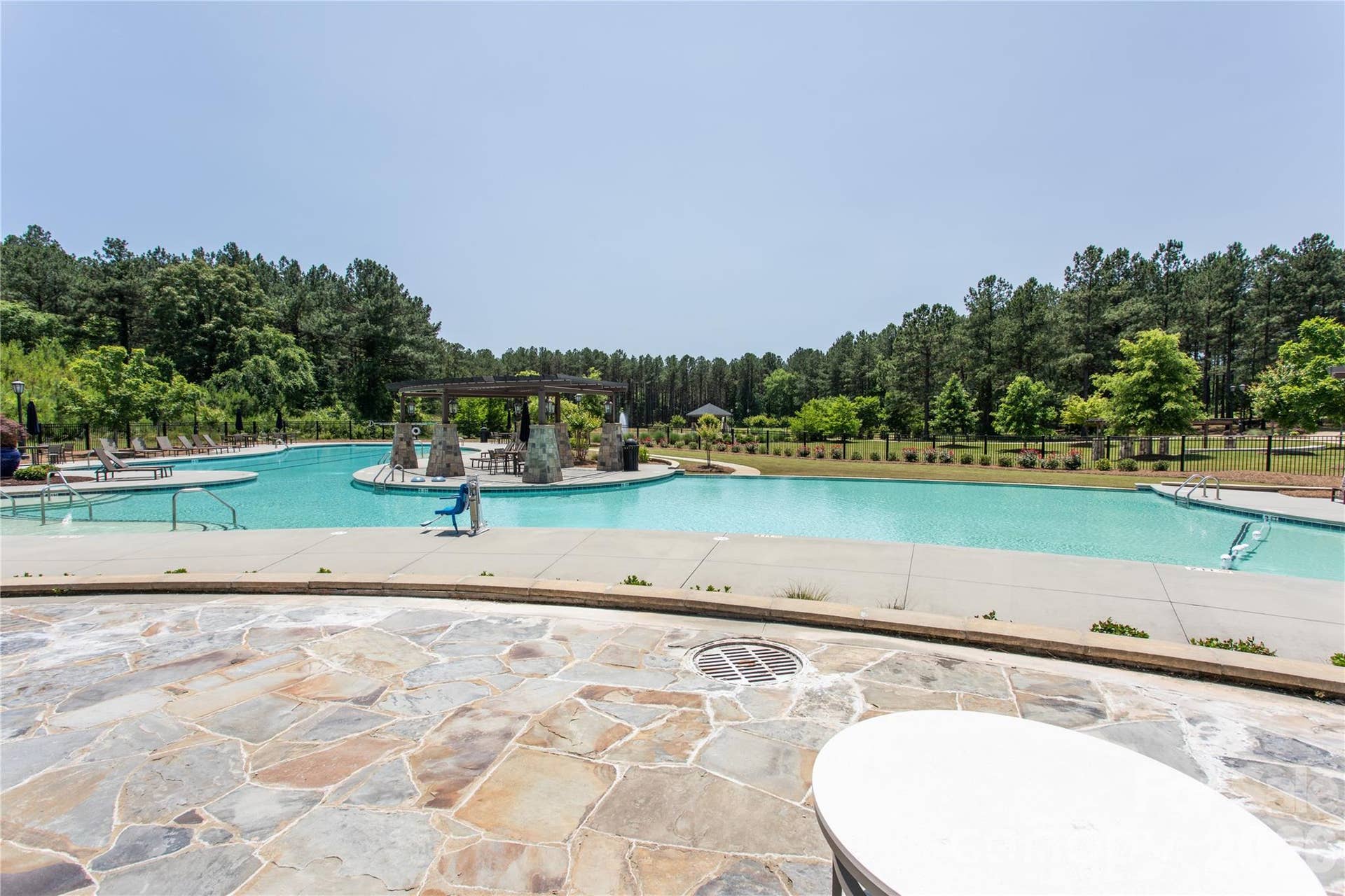 6191 Chimney Bluff Road, Lancaster, SC 29720 Freeform Pool