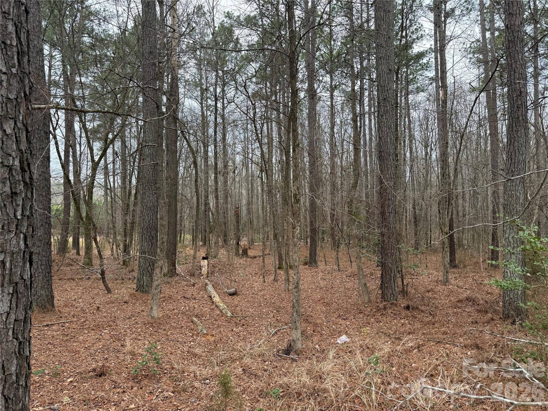 6191 Chimney Bluff Road, Lancaster, SC 29720 Lot