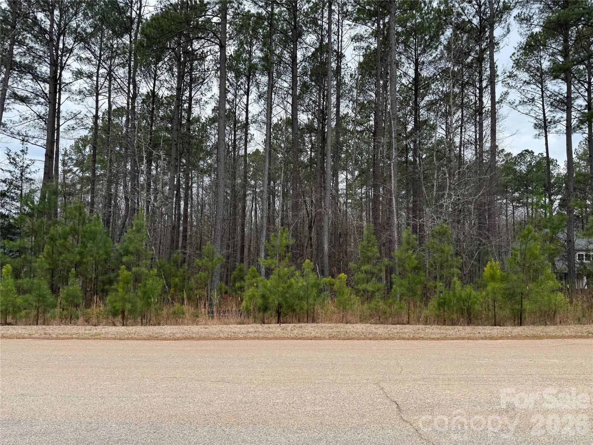 6191 Chimney Bluff Road, Lancaster, SC 29720 Lot