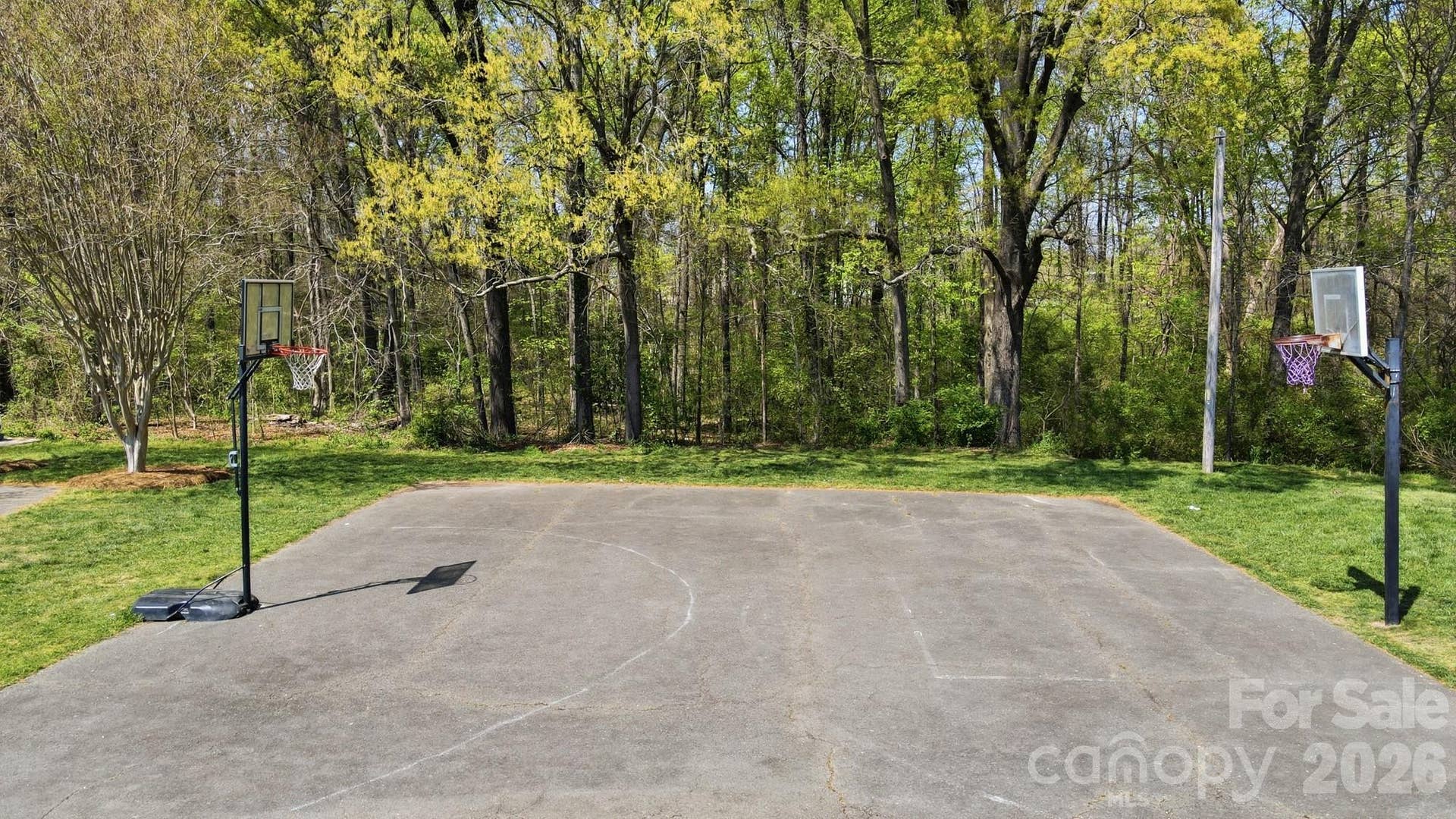 1009 Onotoa Drive, Indian Trail, NC 28079 Basketball court