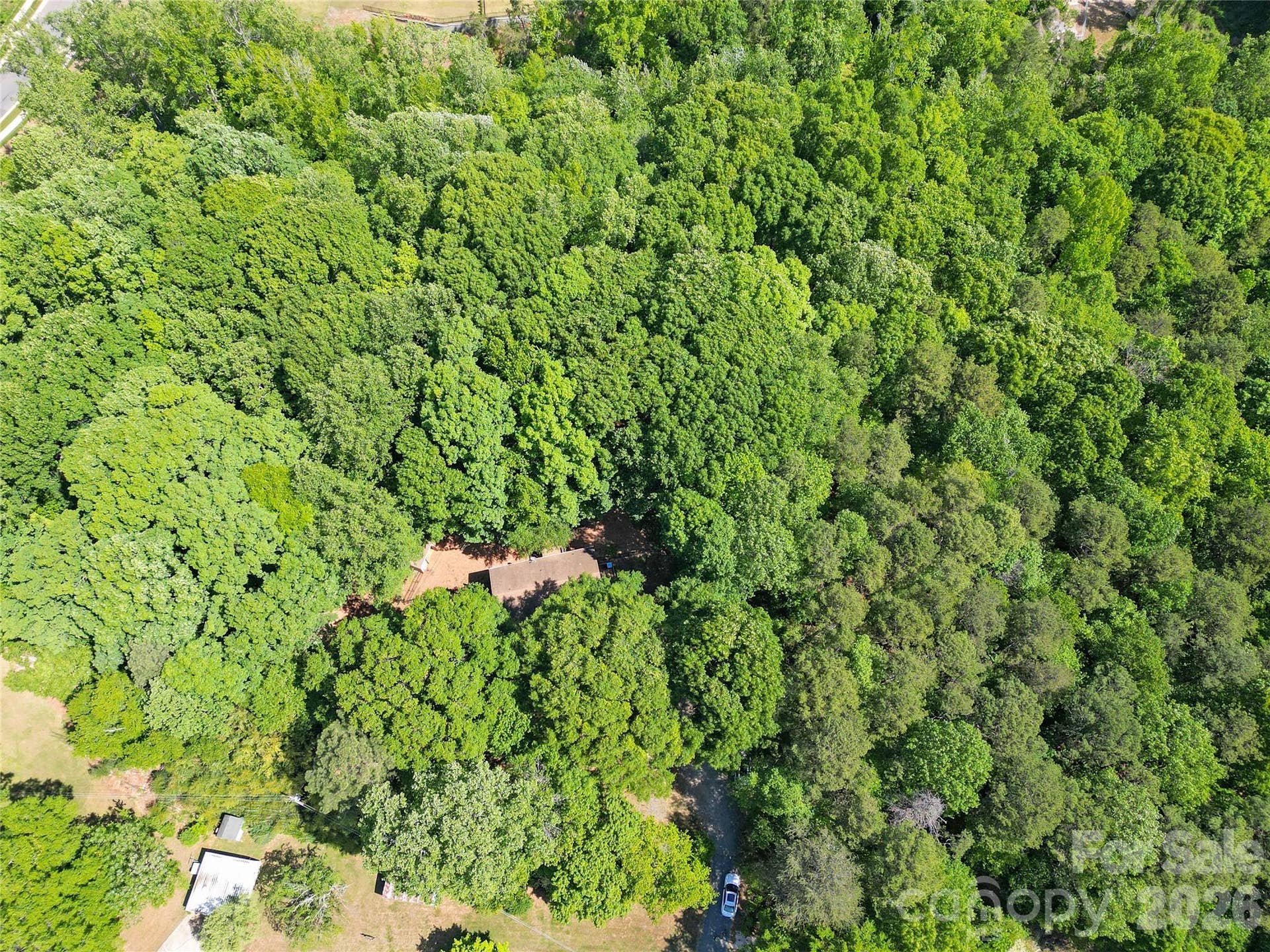 Aerial view of home with surrounding woods