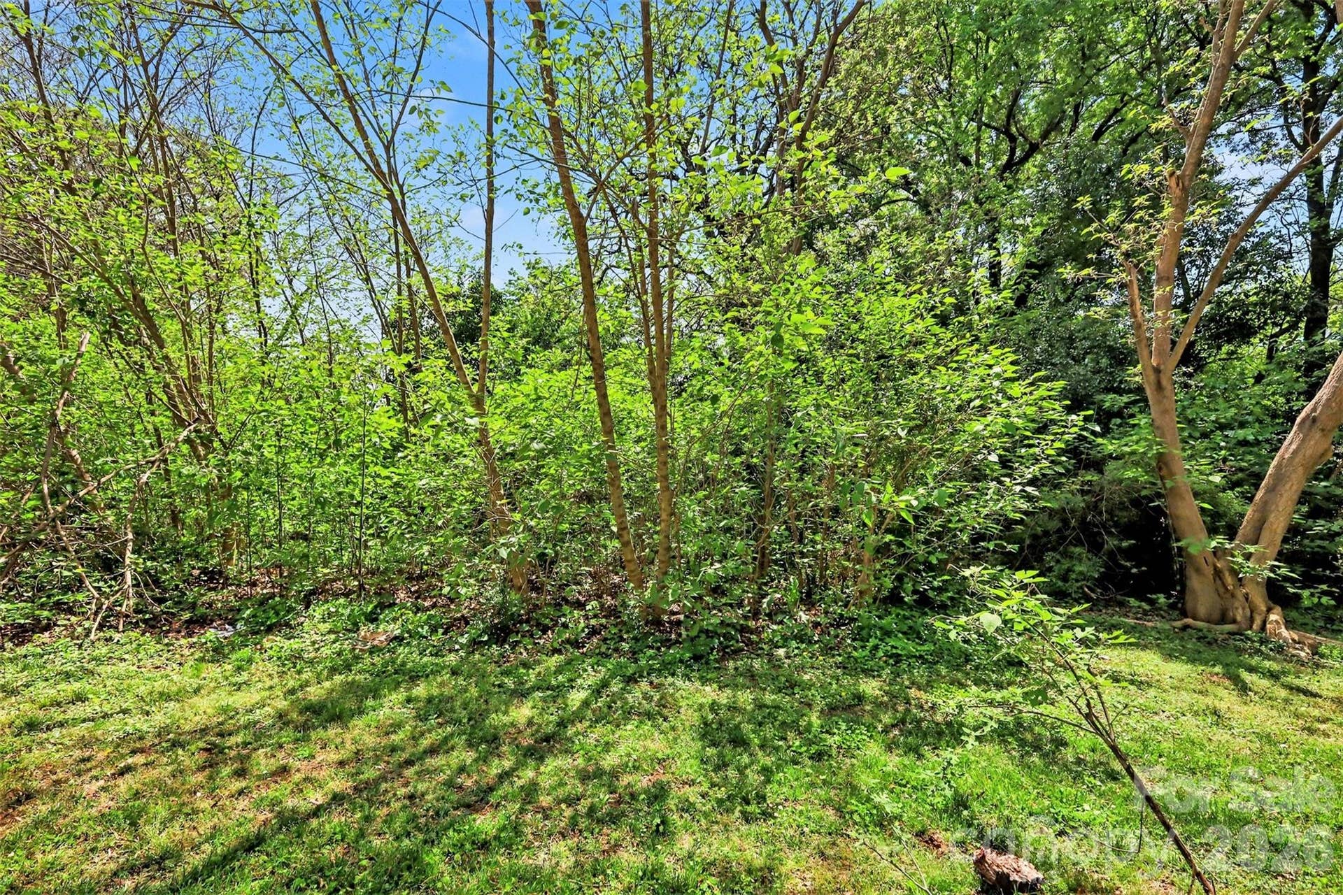 0 Weyland Avenue, Charlotte, NC 28208 0 Weyland Avenue, Charlotte, NC 28208