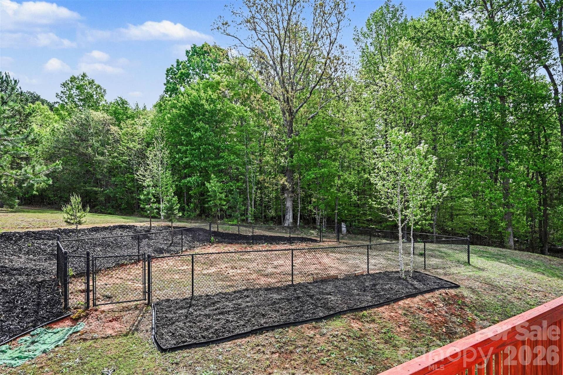 Refreshed backyard with fenced area