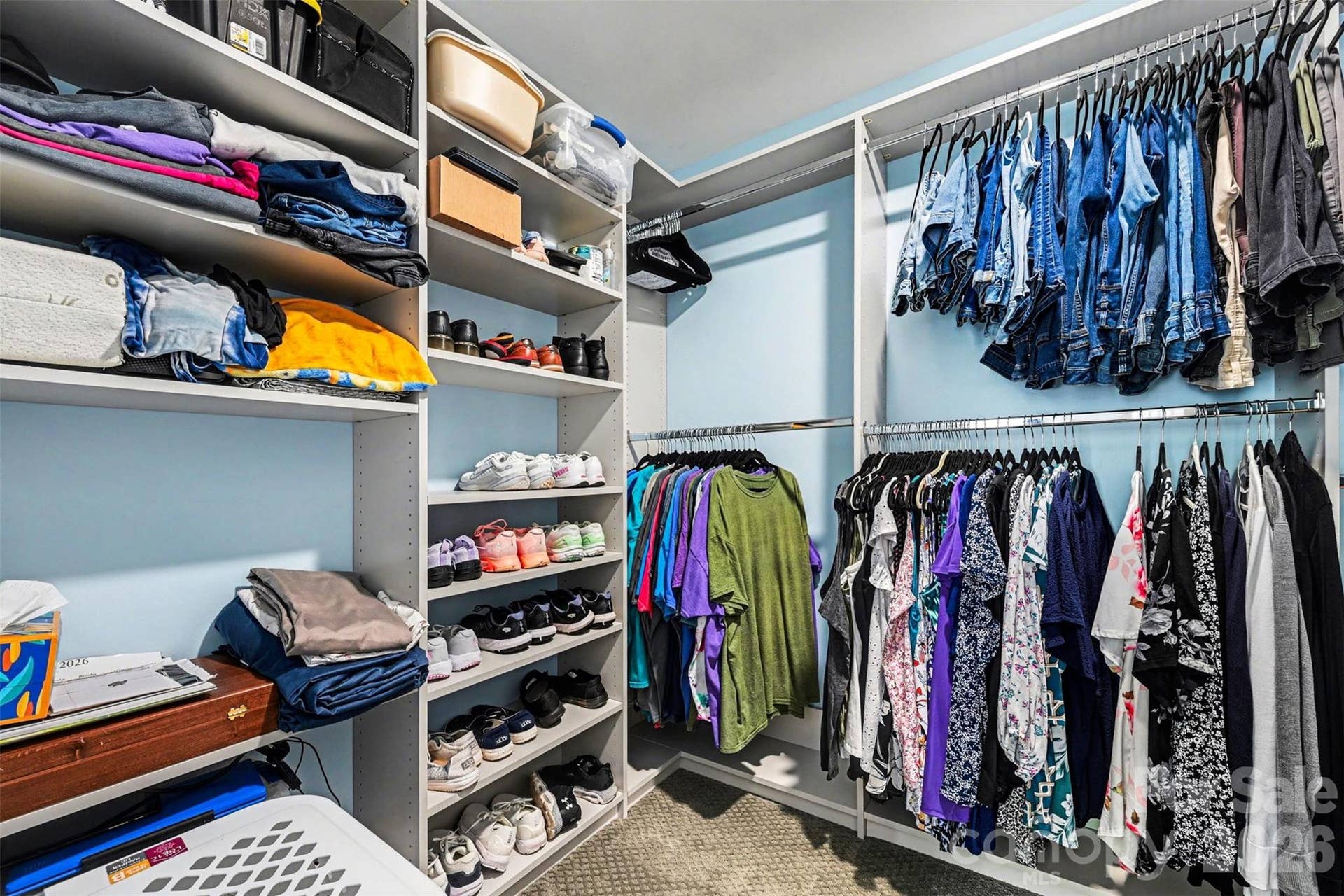 Primary bedroom closet system