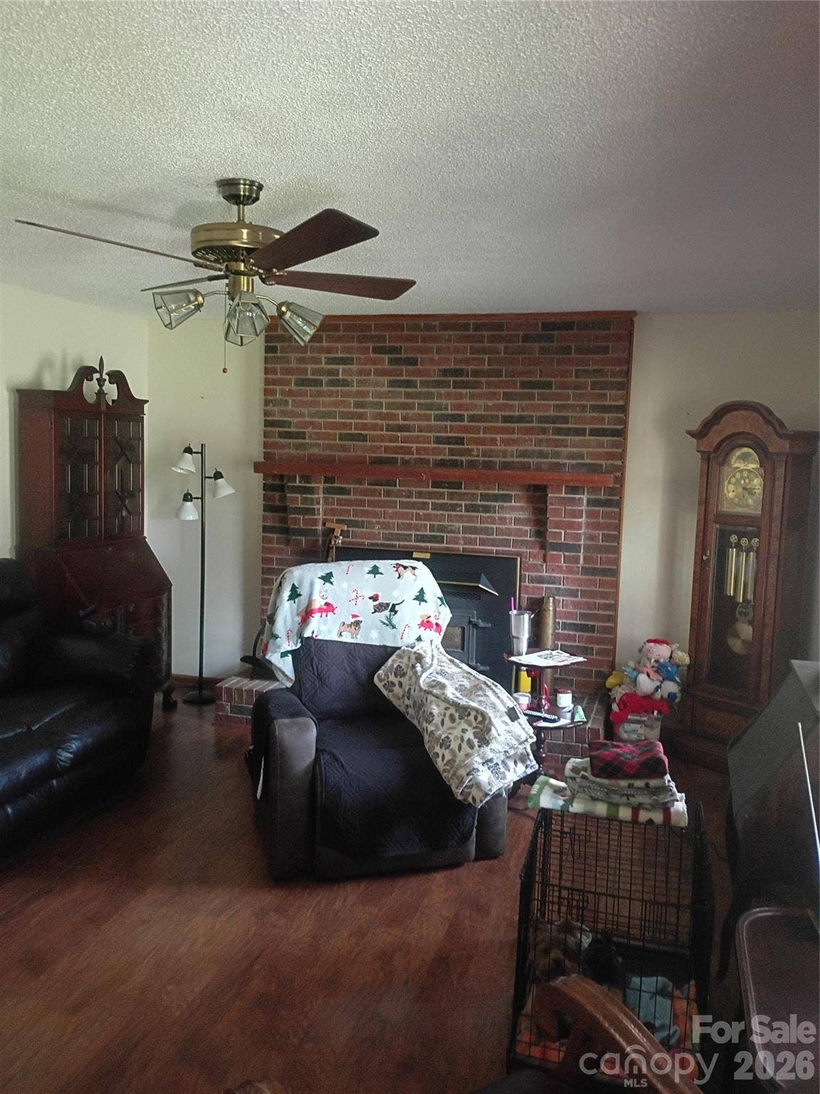 Living room Wood insert