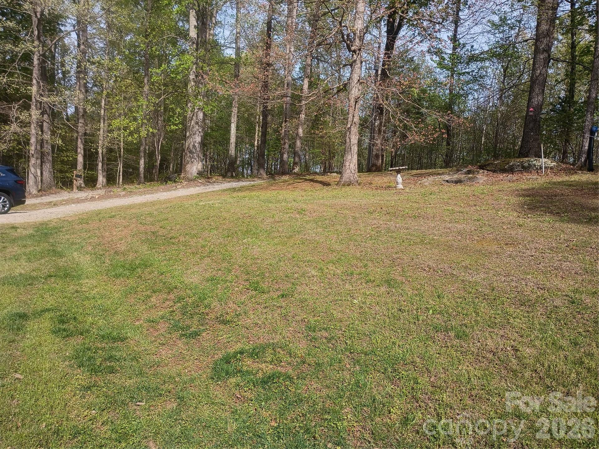 front yard