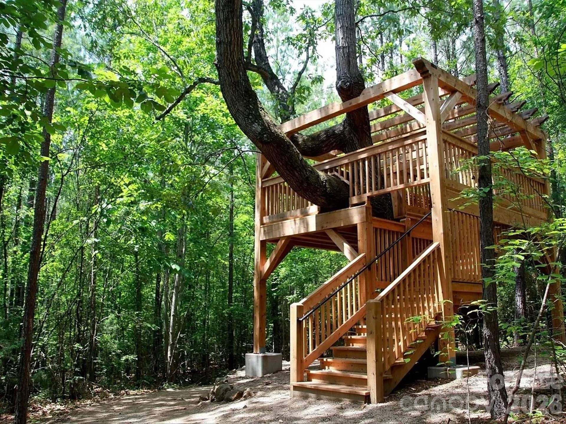 253 Stone Mountain Way, Denver, NC 28037 Tree house on community trails
