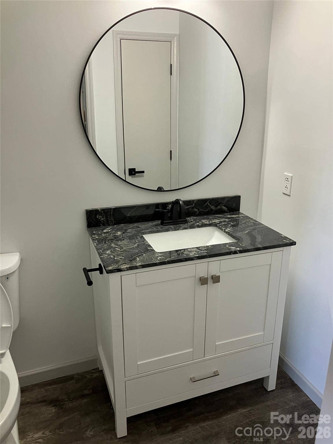 18809 Vineyard Point Lane, Cornelius, NC 28031