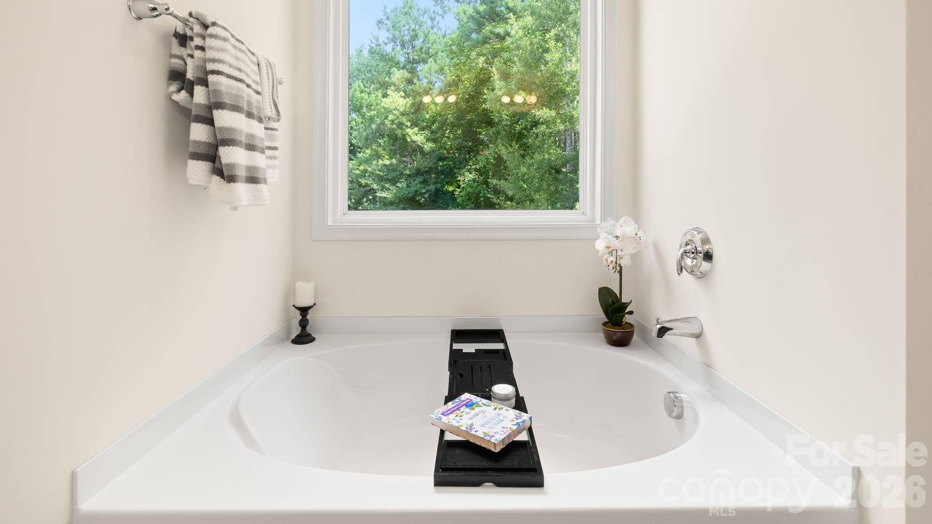 436 Longhorn Drive, Rock Hill, SC 29732 Primary Bathroom with Garden Tub