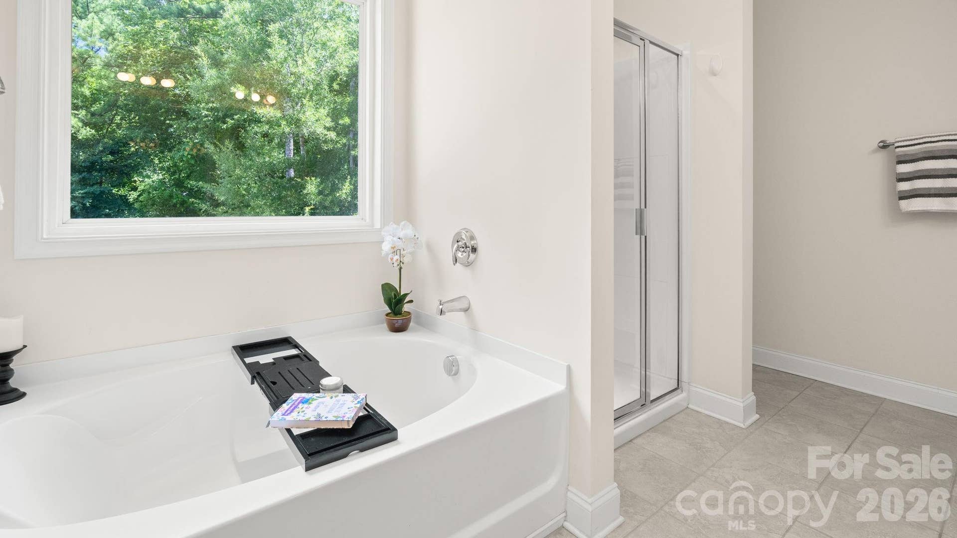436 Longhorn Drive, Rock Hill, SC 29732 Primary Bathroom with Garden Tub & Shower