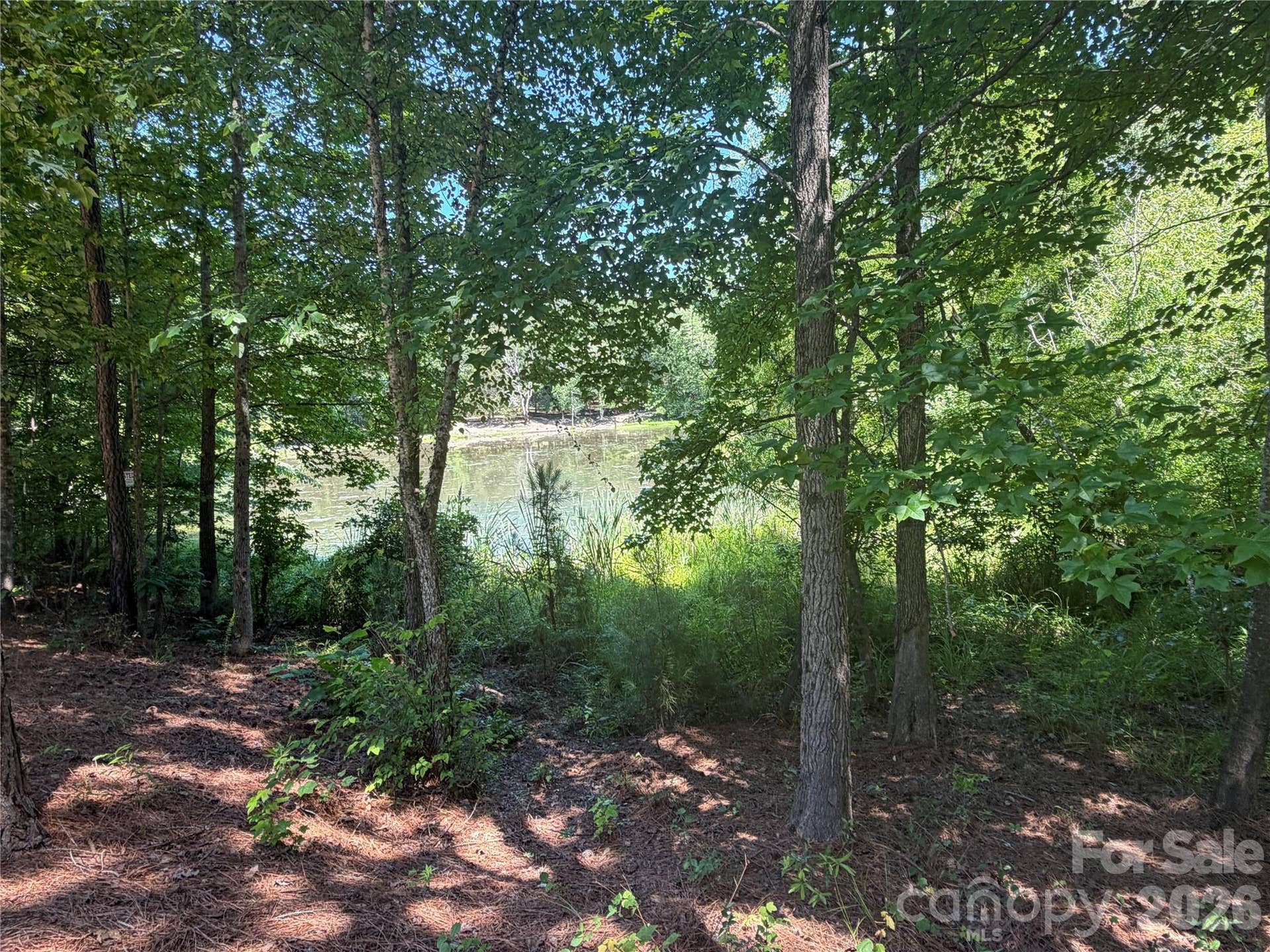 Beautiful Pond View