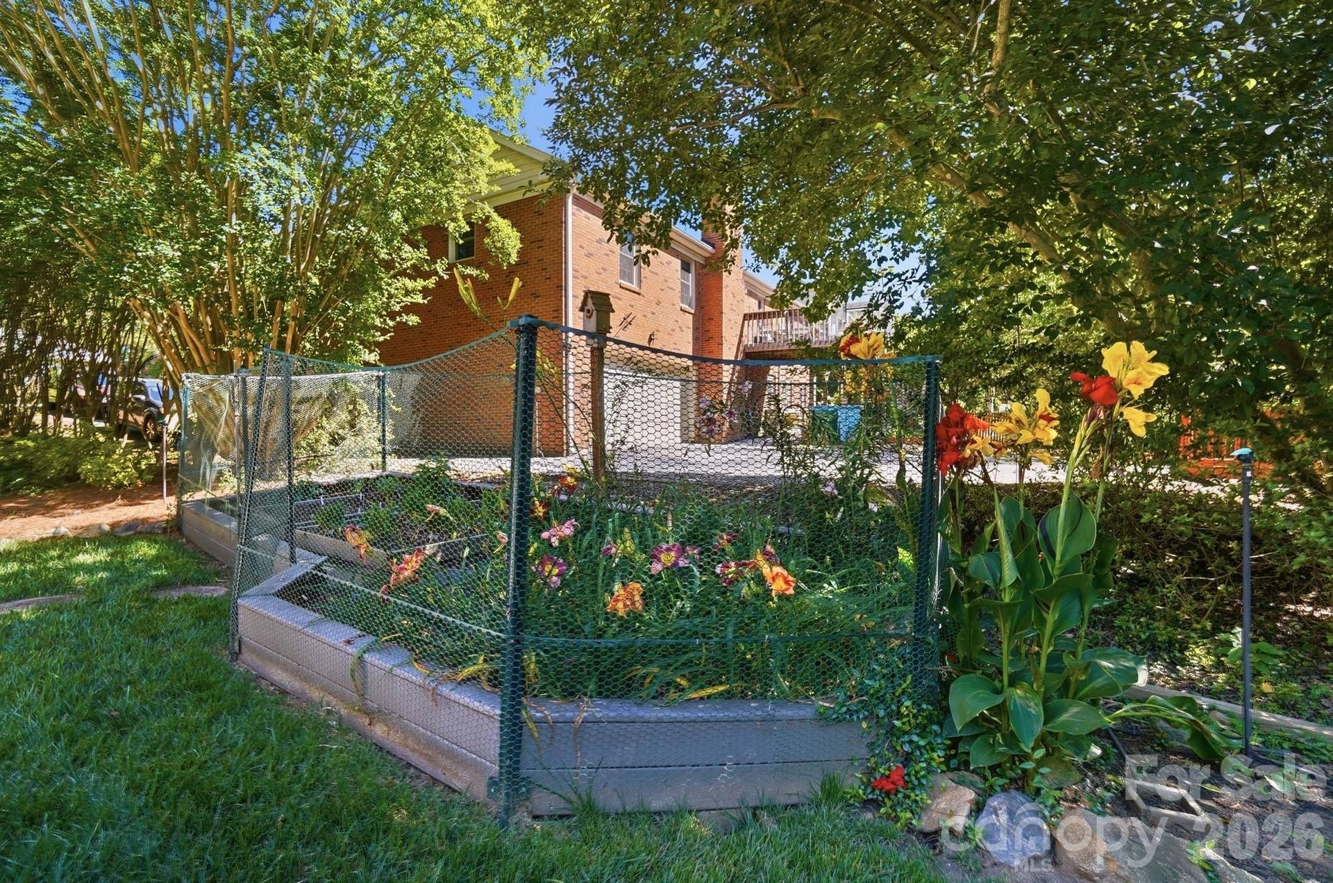 Day Lilly Garden Bed