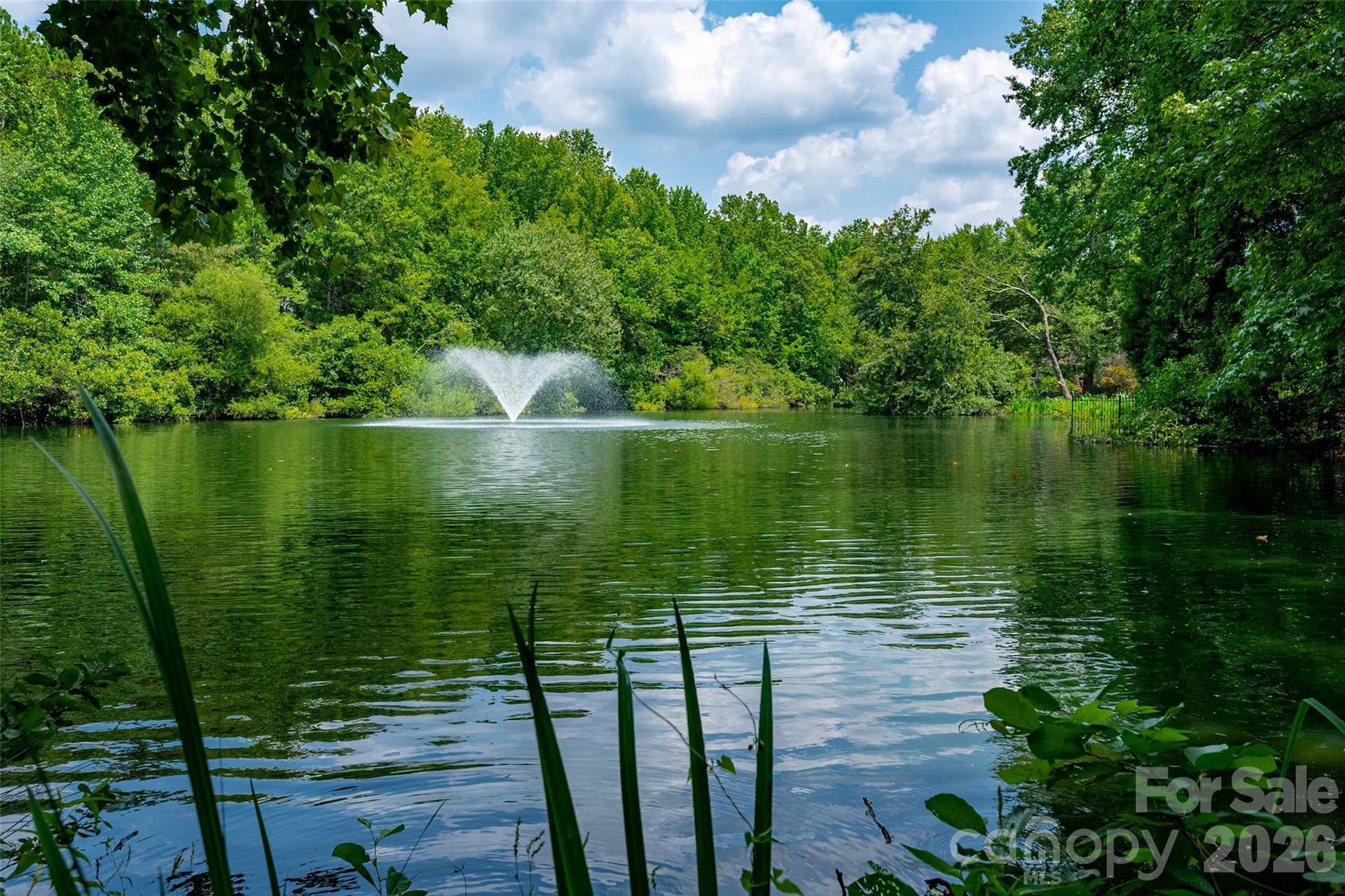 1103 Real Quiet Lane, Waxhaw, NC 28173 1103 Real Quiet Lane, Waxhaw, NC 28173