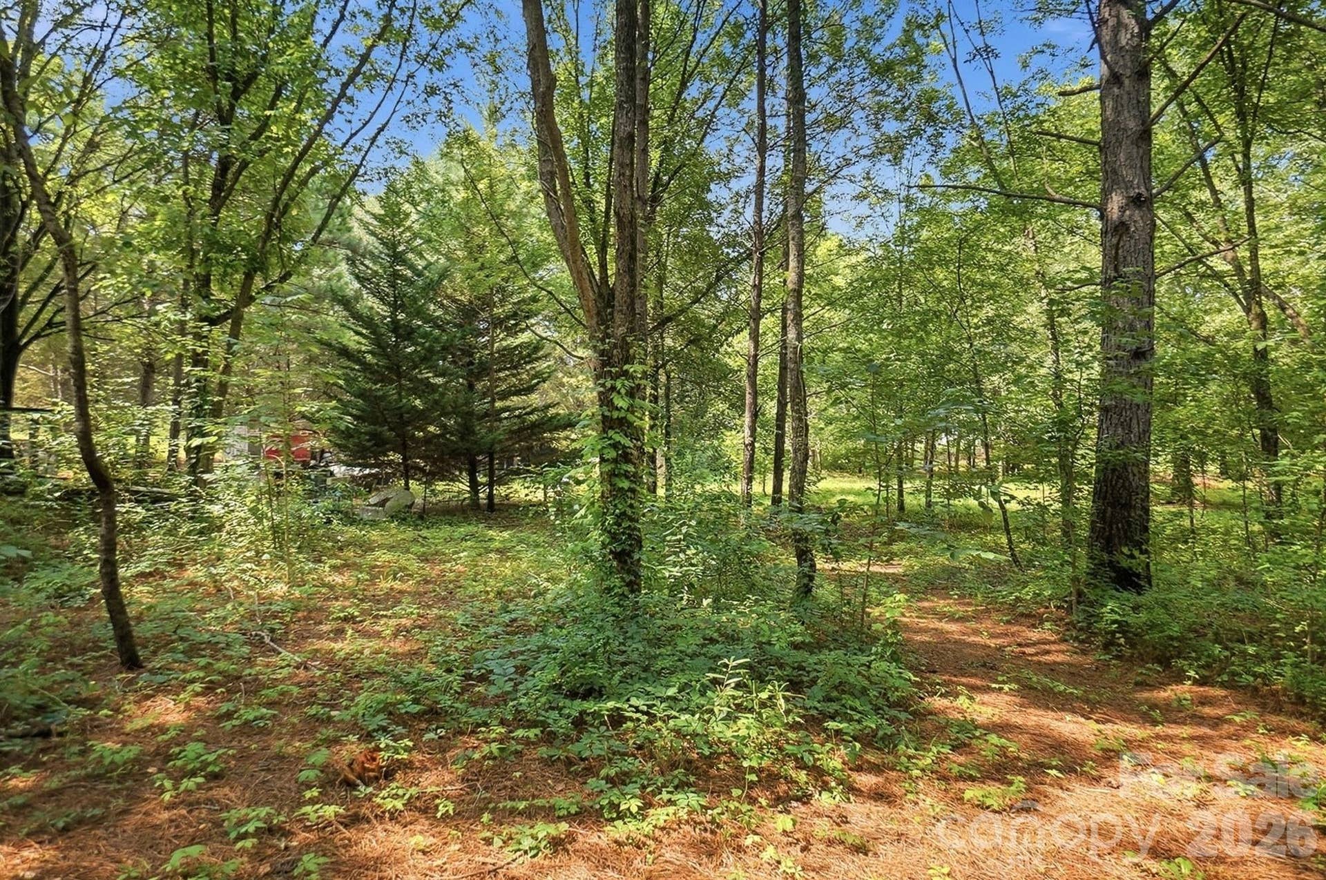 650 Daves Road, York, SC 29745