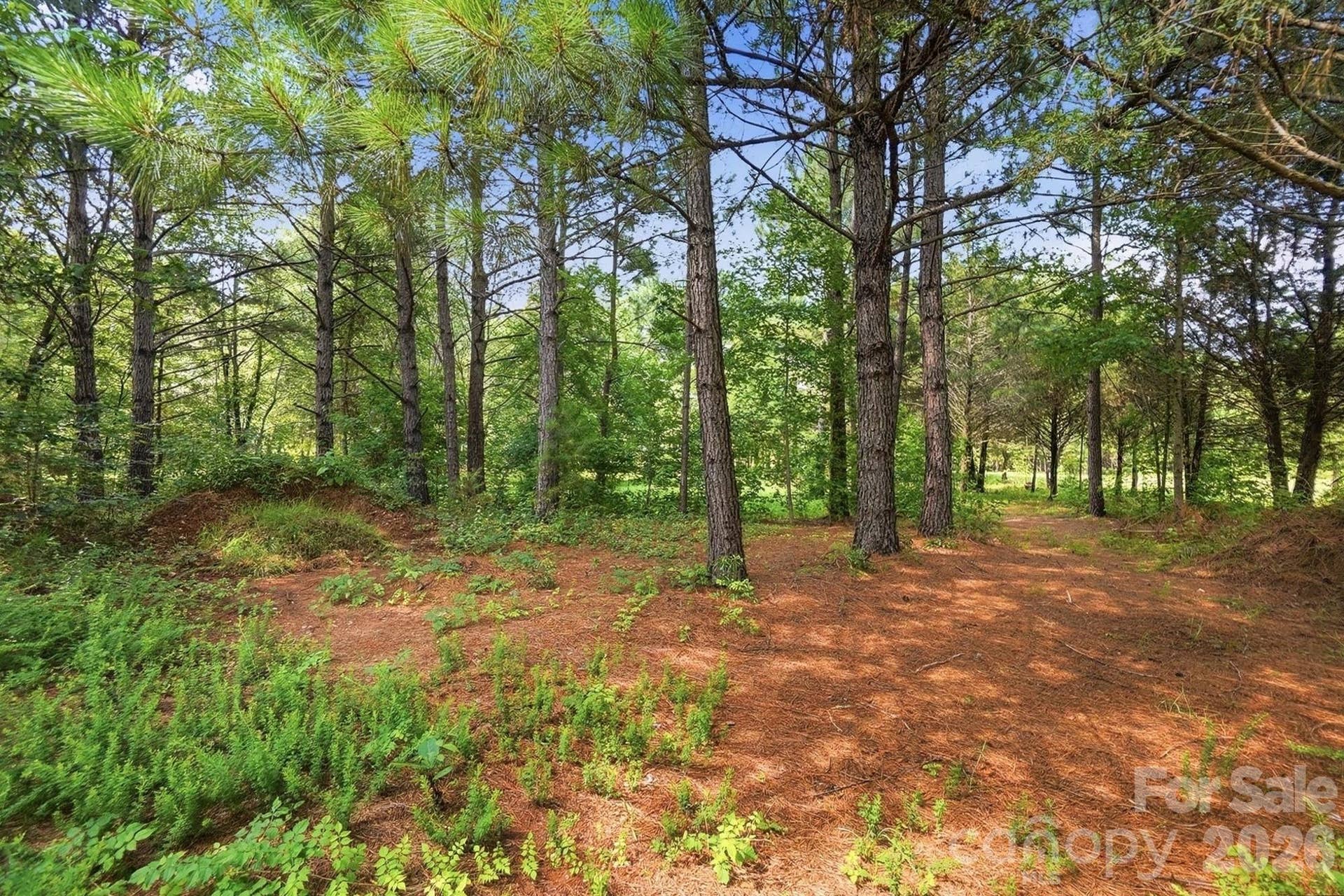 650 Daves Road, York, SC 29745