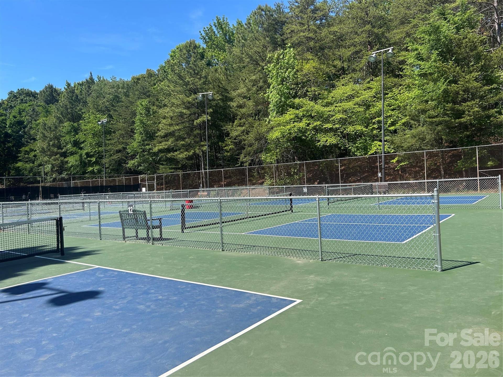7038 Chelsea Day Lane, Tega Cay, SC 29708 Pickleball Courts