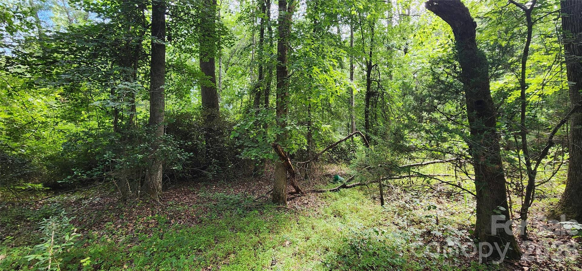 1811 Neelys Creek Road, Rock Hill, SC 29730 1811 Neelys Creek Road, Rock Hill, SC 29730