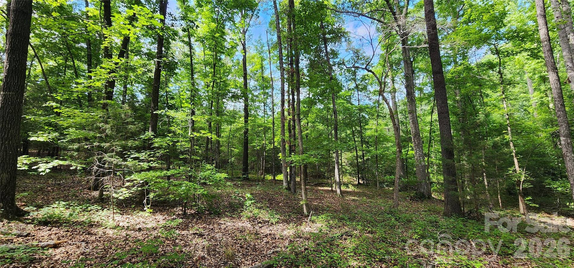 1811 Neelys Creek Road, Rock Hill, SC 29730 1811 Neelys Creek Road, Rock Hill, SC 29730
