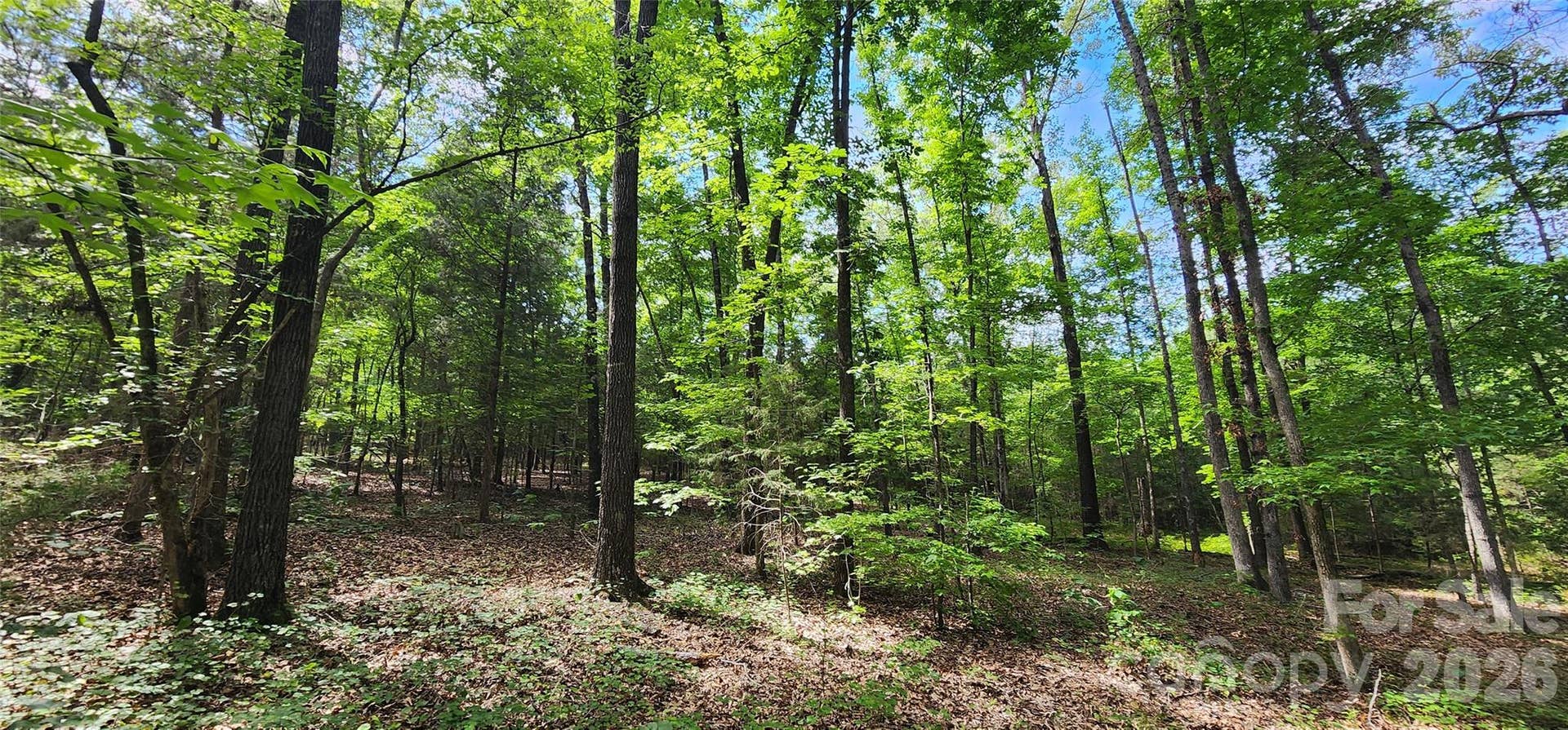 1811 Neelys Creek Road, Rock Hill, SC 29730 1811 Neelys Creek Road, Rock Hill, SC 29730
