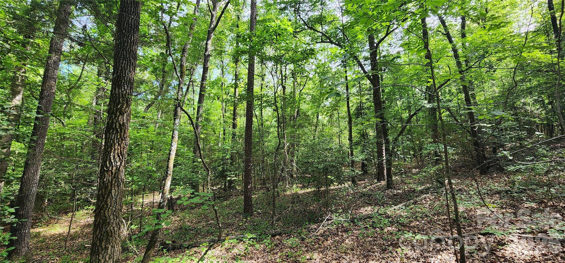1811 Neelys Creek Road, Rock Hill, SC 29730 1811 Neelys Creek Road, Rock Hill, SC 29730
