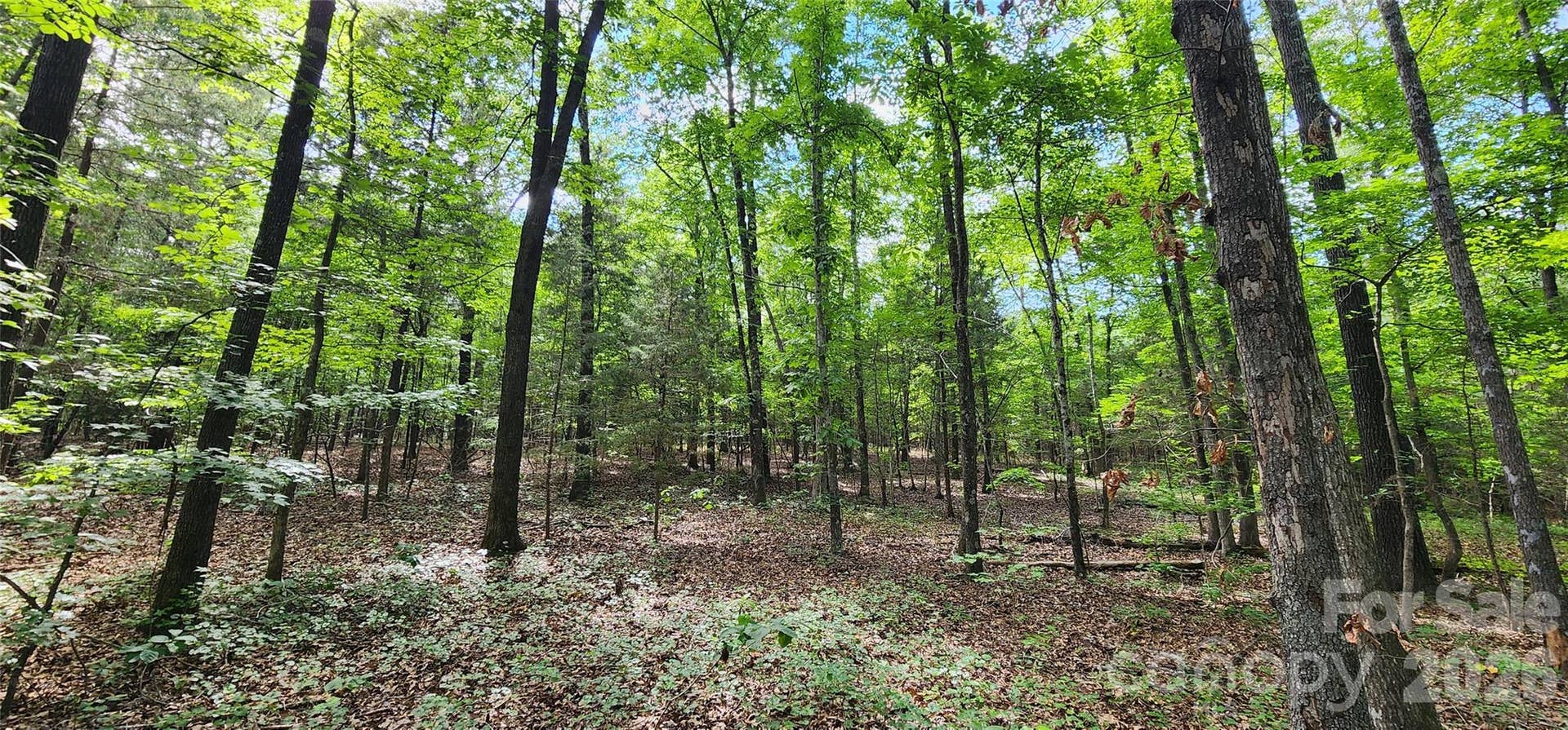 1811 Neelys Creek Road, Rock Hill, SC 29730 1811 Neelys Creek Road, Rock Hill, SC 29730